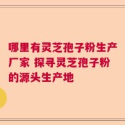 哪里有灵芝孢子粉生产厂家 探寻灵芝孢子粉的源头生产地