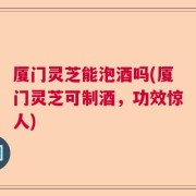 厦门灵芝能泡酒吗(厦门灵芝可制酒，功效惊人)