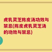 虎乳灵芝陈皮汤功效与禁忌(陈皮虎乳灵芝汤的功效与禁忌)