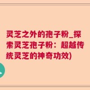灵芝之外的孢子粉_探索灵芝孢子粉：超越传统灵芝的神奇功效)