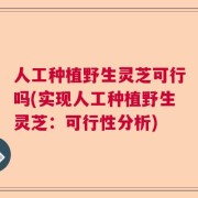 人工种植野生灵芝可行吗(实现人工种植野生灵芝：可行性分析)