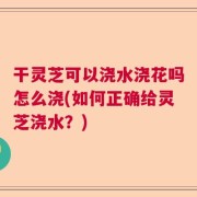 干灵芝可以浇水浇花吗怎么浇(如何正确给灵芝浇水？)
