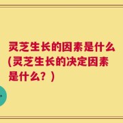 灵芝生长的因素是什么(灵芝生长的决定因素是什么？)