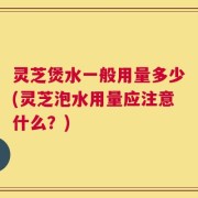灵芝煲水一般用量多少(灵芝泡水用量应注意什么？)