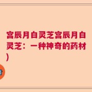 宫辰月白灵芝宫辰月白灵芝：一种神奇的药材)