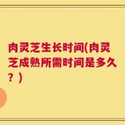 肉灵芝生长时间(肉灵芝成熟所需时间是多久？)