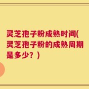 灵芝孢子粉成熟时间(灵芝孢子粉的成熟周期是多少？)