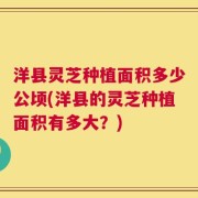 洋县灵芝种植面积多少公顷(洋县的灵芝种植面积有多大？)