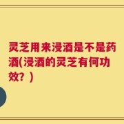 灵芝用来浸酒是不是药酒(浸酒的灵芝有何功效？)