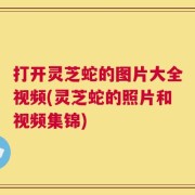 打开灵芝蛇的图片大全视频(灵芝蛇的照片和视频集锦)