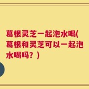 葛根灵芝一起泡水喝(葛根和灵芝可以一起泡水喝吗？)