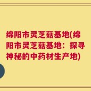 绵阳市灵芝菇基地(绵阳市灵芝菇基地：探寻神秘的中药材生产地)