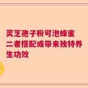 灵芝孢子粉可泡蜂蜜 二者搭配或带来独特养生功效