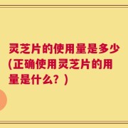 灵芝片的使用量是多少(正确使用灵芝片的用量是什么？)
