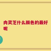 肉灵芝什么颜色的最好呢