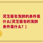 灵芝菌包发酵的条件是什么(灵芝菌包的发酵条件是什么？)