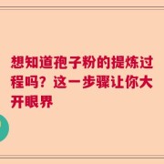 想知道孢子粉的提炼过程吗？这一步骤让你大开眼界