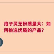孢子灵芝粉质量大：如何挑选优质的产品？