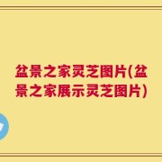 盆景之家灵芝图片(盆景之家展示灵芝图片)