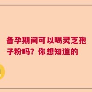备孕期间可以喝灵芝孢子粉吗？你想知道的