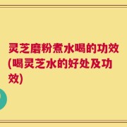 灵芝磨粉煮水喝的功效(喝灵芝水的好处及功效)