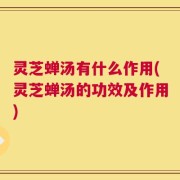 灵芝蝉汤有什么作用(灵芝蝉汤的功效及作用)