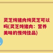 灵芝炖猪肉炖灵芝可以吗(灵芝炖猪肉：营养美味的慢炖佳品)
