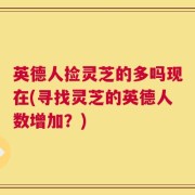 英德人捡灵芝的多吗现在(寻找灵芝的英德人数增加？)