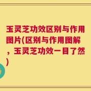 玉灵芝功效区别与作用图片(区别与作用图解，玉灵芝功效一目了然)