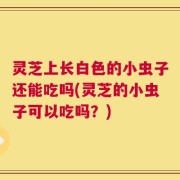 灵芝上长白色的小虫子还能吃吗(灵芝的小虫子可以吃吗？)