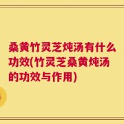 桑黄竹灵芝炖汤有什么功效(竹灵芝桑黄炖汤的功效与作用)