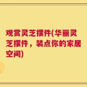 观赏灵芝摆件(华丽灵芝摆件，装点你的家居空间)