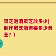 灵芝泡酒灵芝放多少(制作灵芝酒需要多少灵芝？)