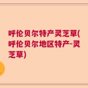 呼伦贝尔特产灵芝草(呼伦贝尔地区特产-灵芝草)