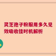 灵芝孢子粉服用多久见效吸收佳时机解析