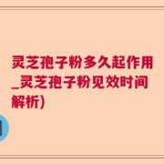 灵芝孢子粉多久起作用_灵芝孢子粉见效时间解析)