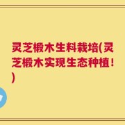 灵芝椴木生料栽培(灵芝椴木实现生态种植！)