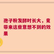 孢子粉发酵时长大，竟带来这些意想不到的效果