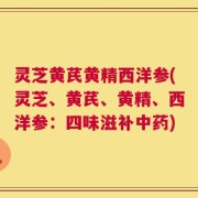 灵芝黄芪黄精西洋参(灵芝、黄芪、黄精、西洋参：四味滋补中药)