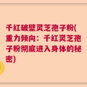 千红破壁灵芝孢子粉(重力倾向：千红灵芝孢子粉彻底进入身体的秘密)