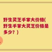 野生灵芝手掌大价格(野生手掌大灵芝价格是多少？)