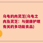 乌龟的肉灵芝(乌龟之肉及灵芝：与健康护理有关的多功能食品)