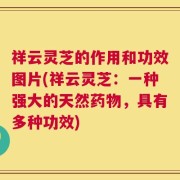 祥云灵芝的作用和功效图片(祥云灵芝：一种强大的天然药物，具有多种功效)
