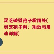 灵芝破壁孢子粉用处(灵芝孢子粉：功效与用途详解)