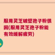 服用灵芝破壁孢子粉很困(服用灵芝孢子粉能有效缓解疲劳)