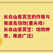 长白山紫灵芝的作用与用途及功效(重头戏！长白山紫灵芝：功效神奇，用途广泛)