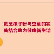 灵芝孢子粉与虫草的完美结合助力健康新生活