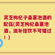 灵芝枸杞子桑葚泡酒的配伍(灵芝枸杞桑葚泡酒，滋补佳饮不可错过！)