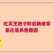 吃灵芝孢子粉后肠痉挛 是还是其他原因