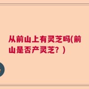 从前山上有灵芝吗(前山是否产灵芝？)